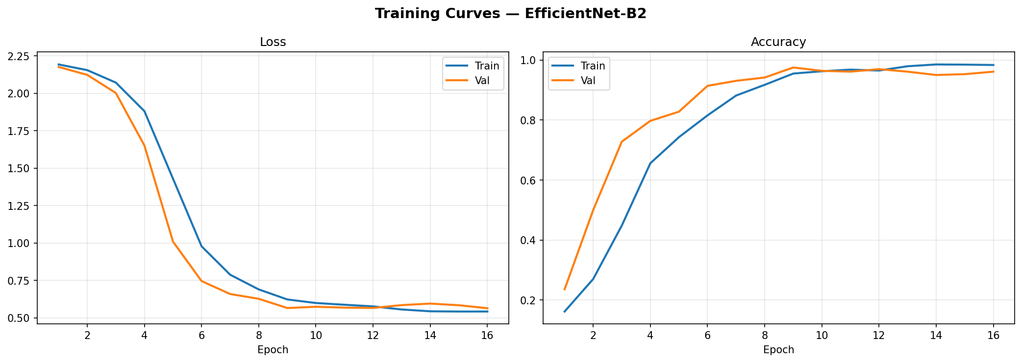 Training curves