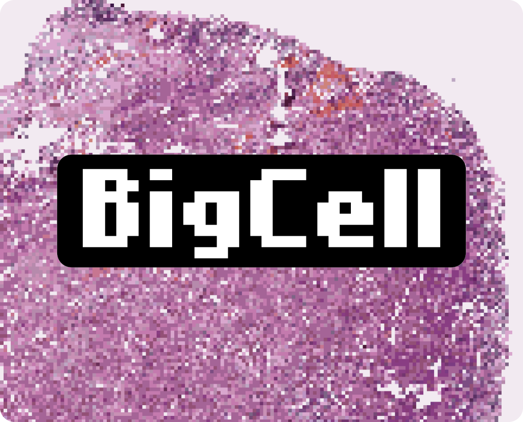 bigcell_banner