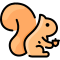 squirrel.png