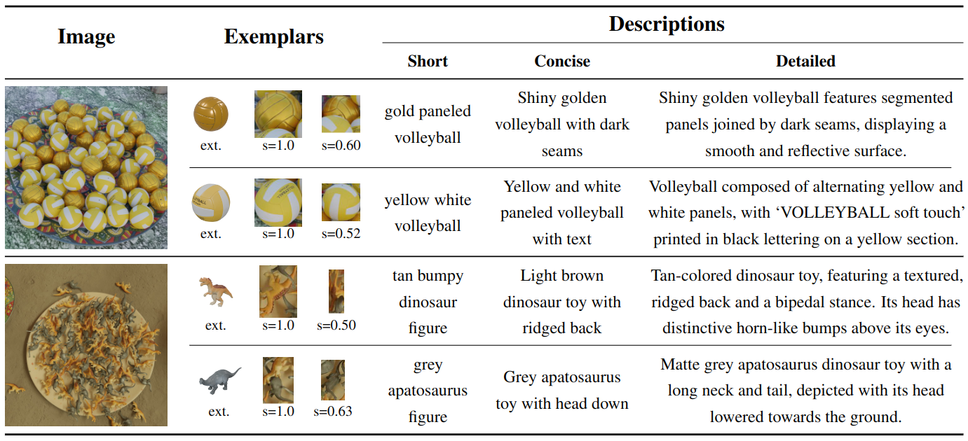 MixCount exemplars and tiered text descriptions