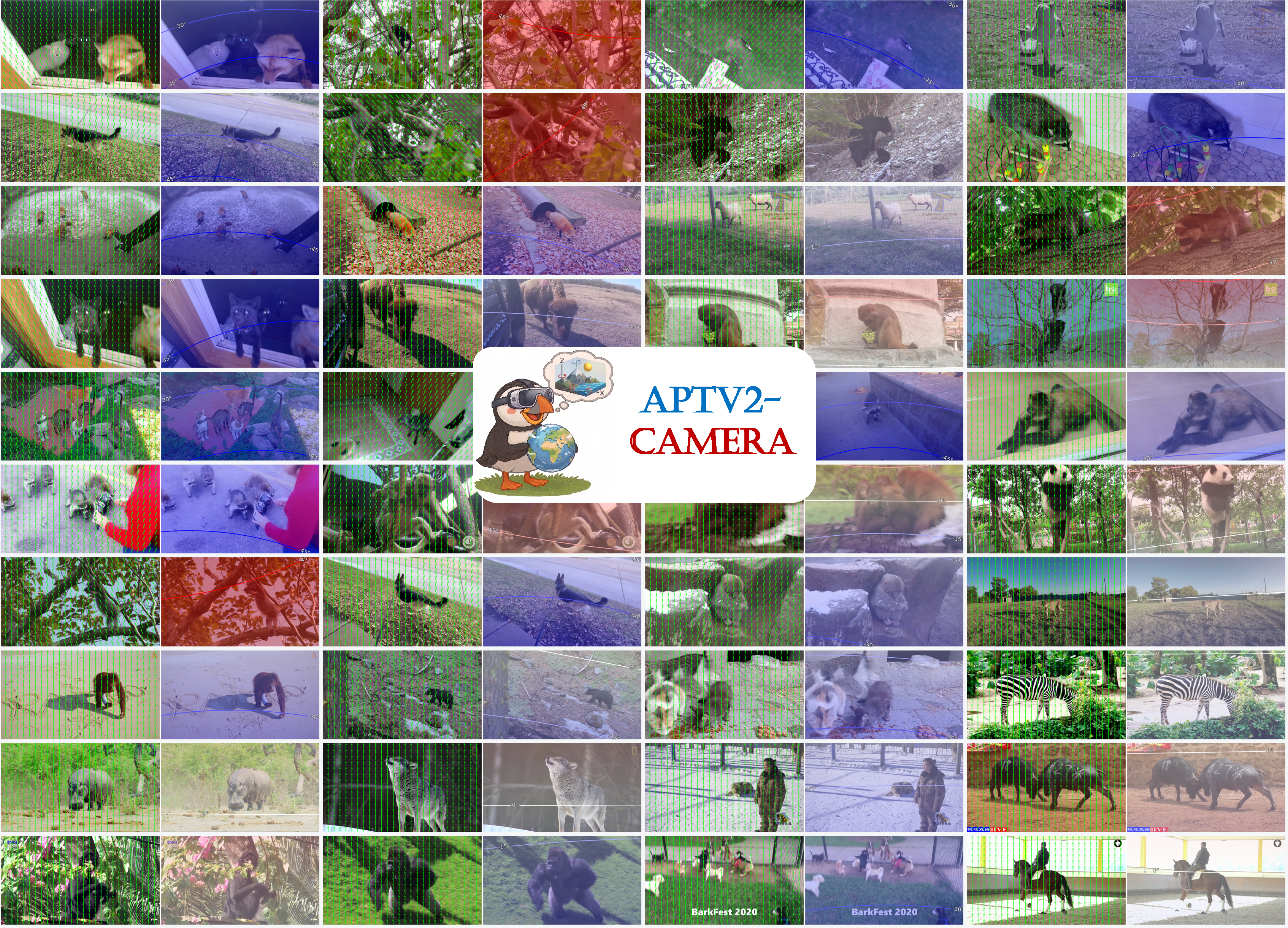 camera map collage